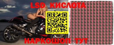 прущие грибы Наро-Фоминск