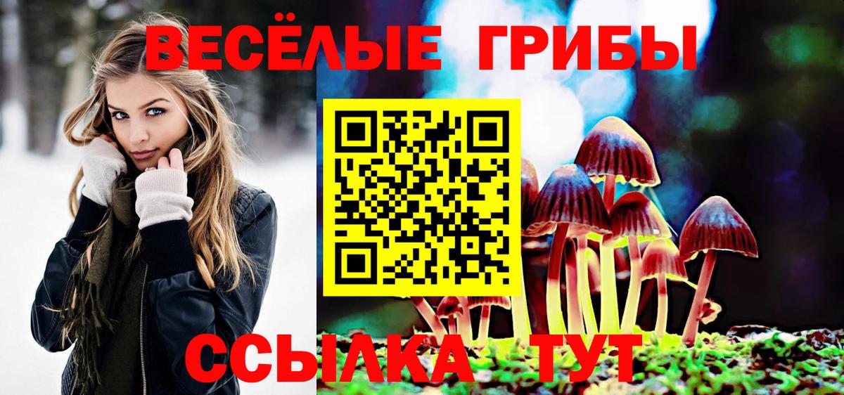 Псилоцибиновые грибы мицелий  Вход с VPN  Унеча 