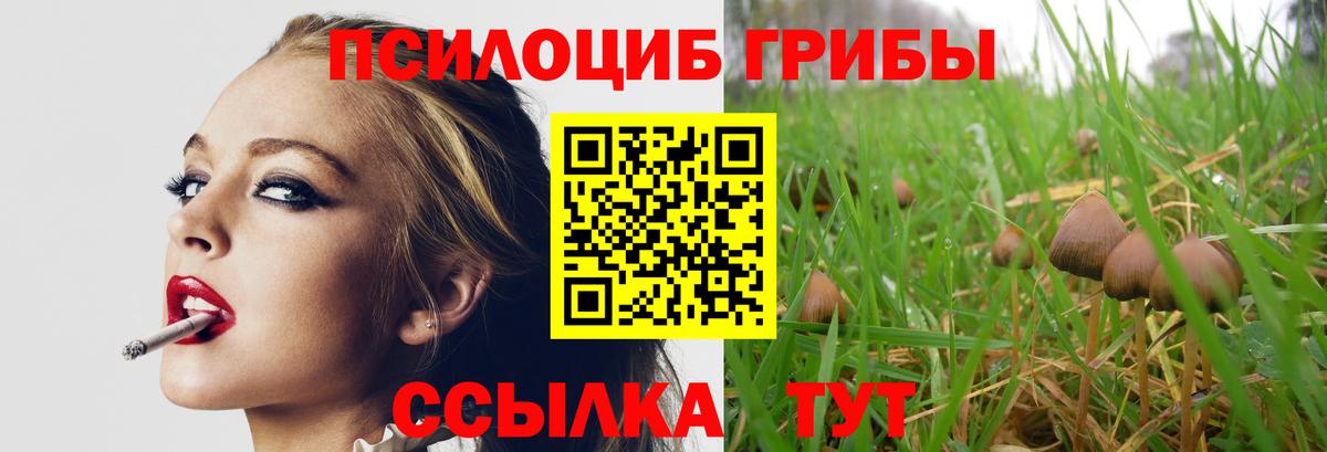 Псилоцибиновые грибы прущие грибы Унеча